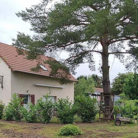 Proche Chateaux Et Zoo De Beauval: Gite De Sologne Pruniers Extérieur photo